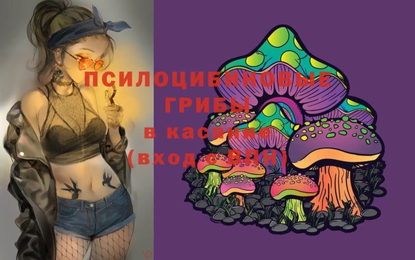 мдпв Касимов