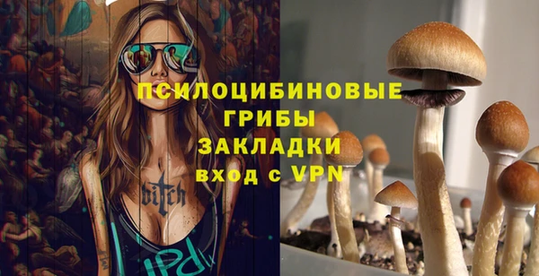 spice Карталы