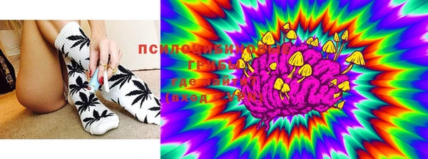 мдпв Касимов