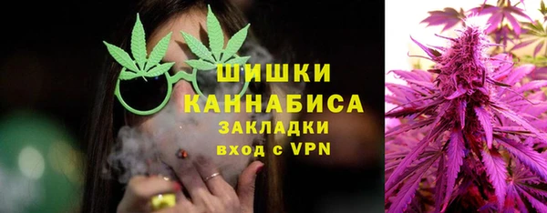 мдпв Касимов
